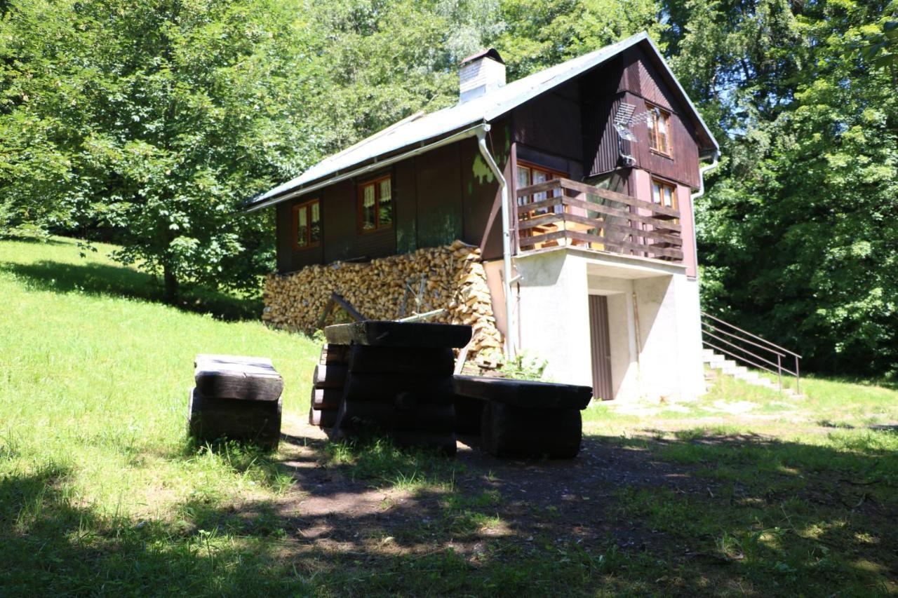 Chata Babeta Hradecek U Trutnova Hertvikovice Exterior photo